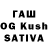 Псилоцибиновые грибы GOLDEN TEACHER Ibram Guirguis