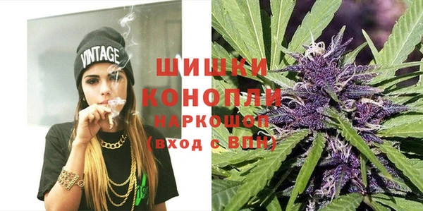 PSILOCYBIN Волосово